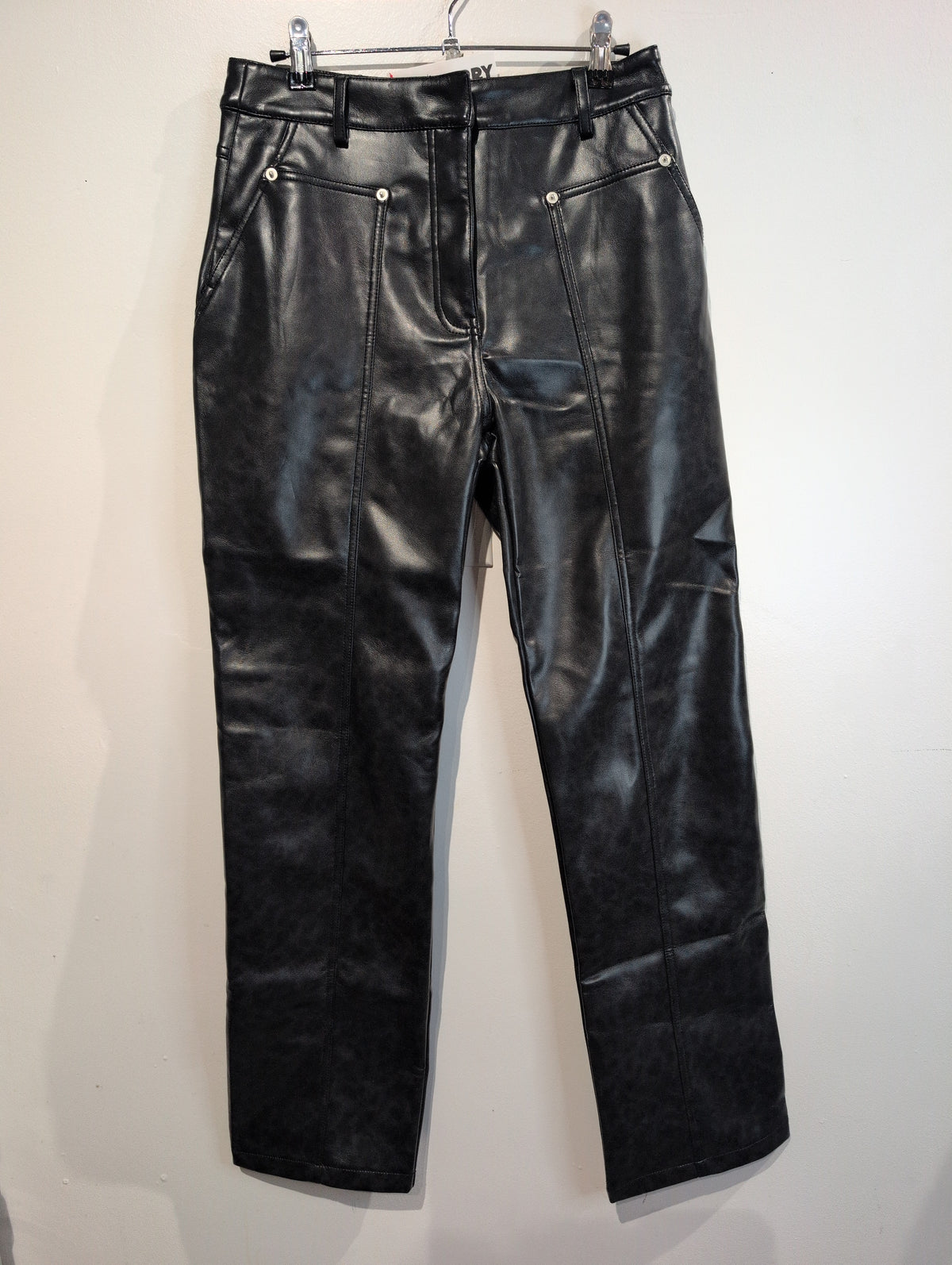 Faux leather zip pants