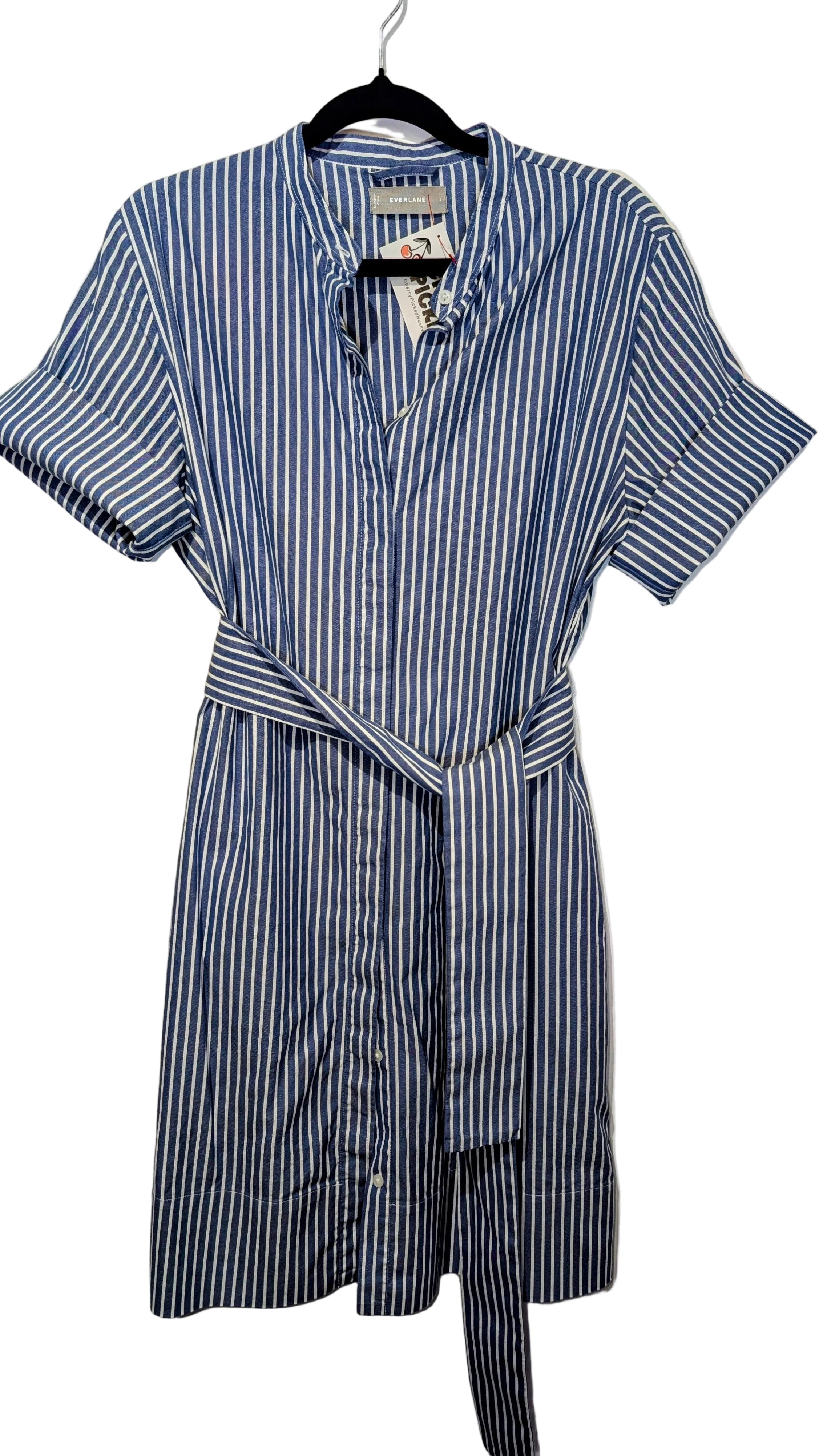 Blue striped s/s dress Everlane