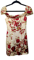 Lanelle silk dress NWT