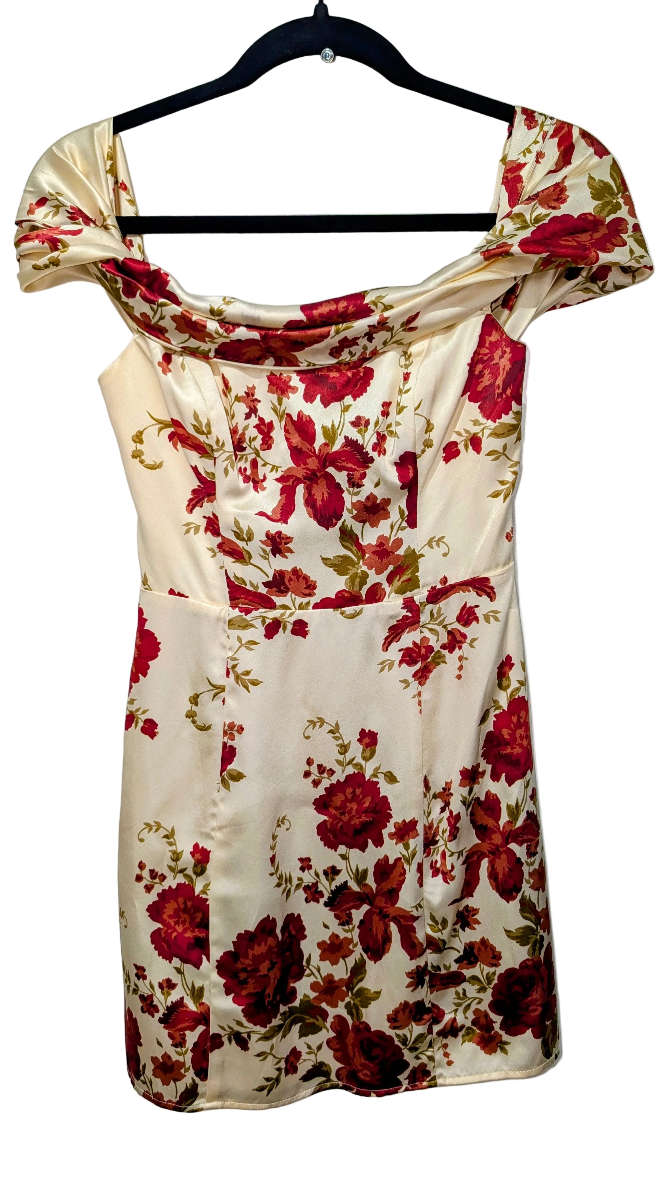 Lanelle silk dress NWT